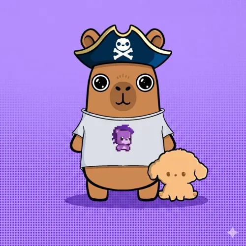 Pirate Capybara