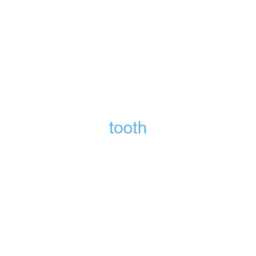 tooth