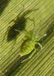 Aerial perspectives captured