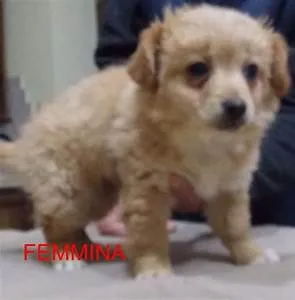 Conflict resolution workshops