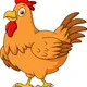 HELLO CHICKEN