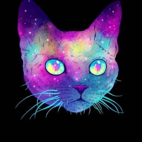 Robi