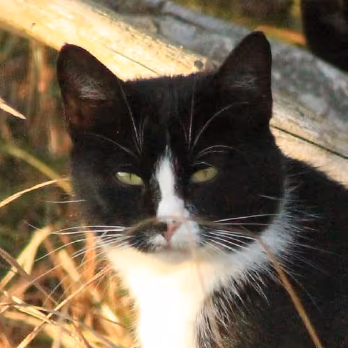 Photography masterclasses