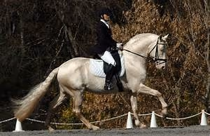 Hidden treasure hunt