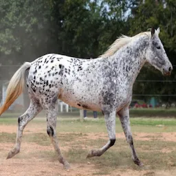 Revolutionizing education methods