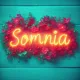 somnia