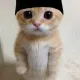 Widyul