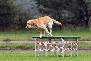 Structural design wonders