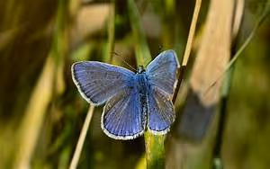 Writing retreat inspirations