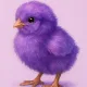 PURPLE CHICK