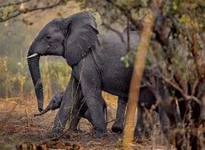 Pyramids and temples exploration