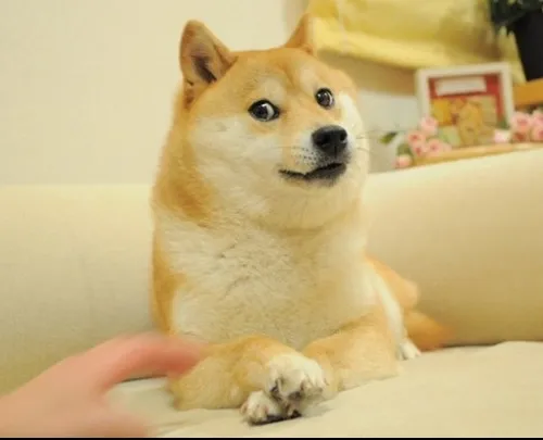 445