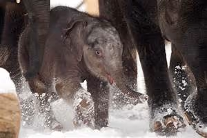 Ancient martial arts mastery