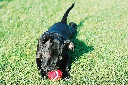 Medieval lodging fantasies