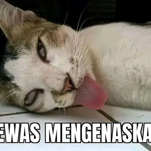 hennnnn