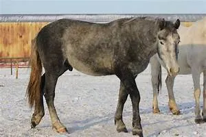 Self-growth empowerment