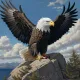 american eagle