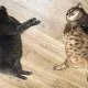 Friendship
