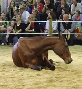 Greek mythology gods