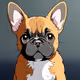 Dogo Toyo