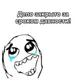 dssdgdsg