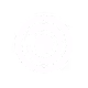 TeSTKAOSRUN