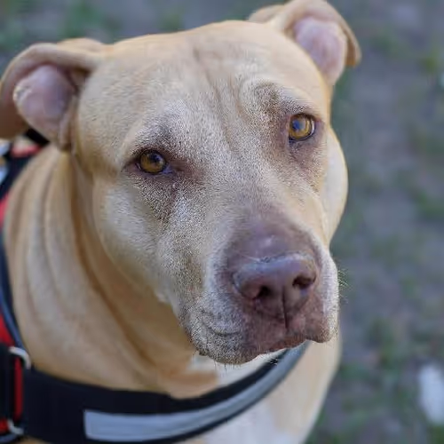 Pedaling scenic routes