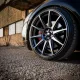 RIMS