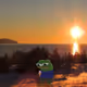 PEPE