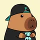 Capybara S