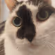 mon