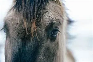 Revolutionizing education methods