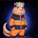 Ninja Capysom