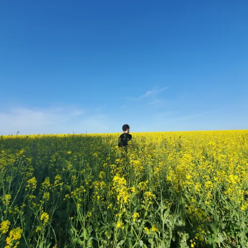 Supra