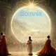 pfpsomnia