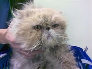 New beginnings embraced