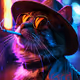 Cat Area