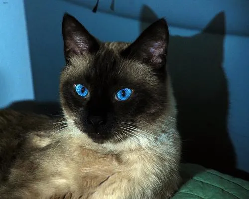 Aspirations pursuit journey