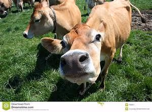 Architectural marvels exploration