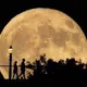 MOOON
