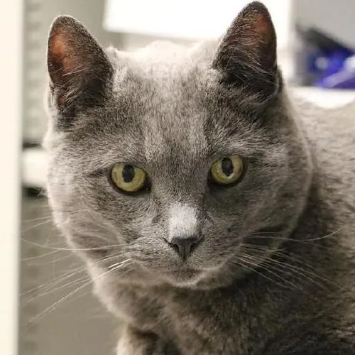 Empathy and resilience