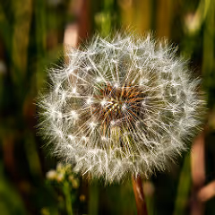 Mind-body harmony journeys