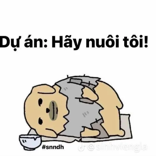 Nini