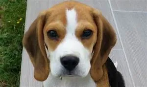 Celebrating cultural richness