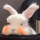 FEDSAXZWF
