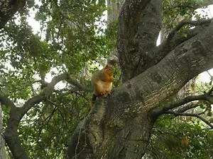 Pyramids and temples exploration