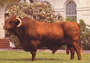 Mountain lodge getaways