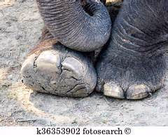 Chasing dreams passionately