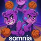 SHOW MUST SOMNIA