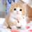 Fierce_Pawprintz